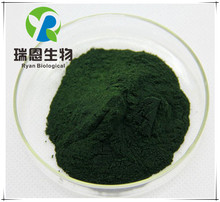 墨角藻提取物原料含量20:1厂家现货供应欢迎订购