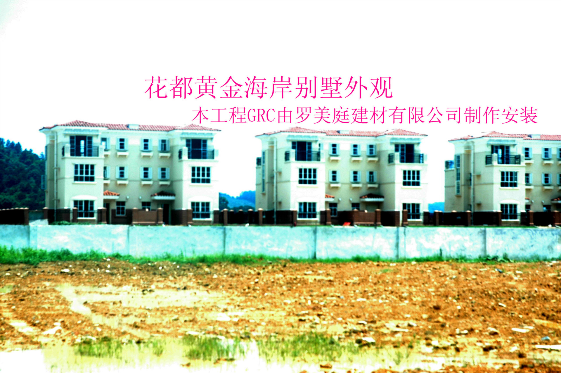 DSC_9730 拷贝.jpg