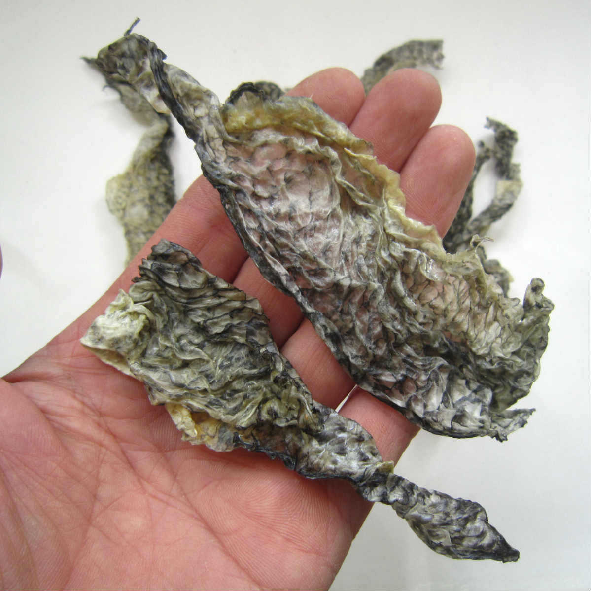 批发罗非鱼皮酒店专用鱼皮水发鱼皮生鱼皮干鱼皮泡椒鱼皮原料