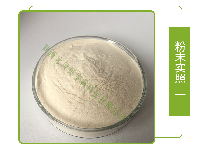 厂家直供菠萝粉 口感纯正固体饮料/烘焙食品 免费拿样凤梨粉