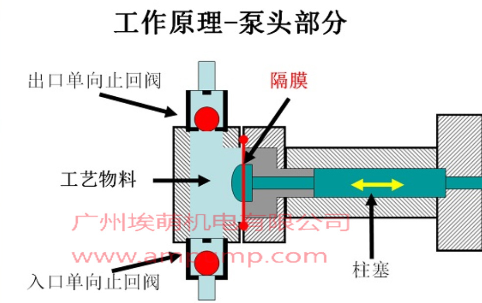 机械隔膜泵安装图图片
