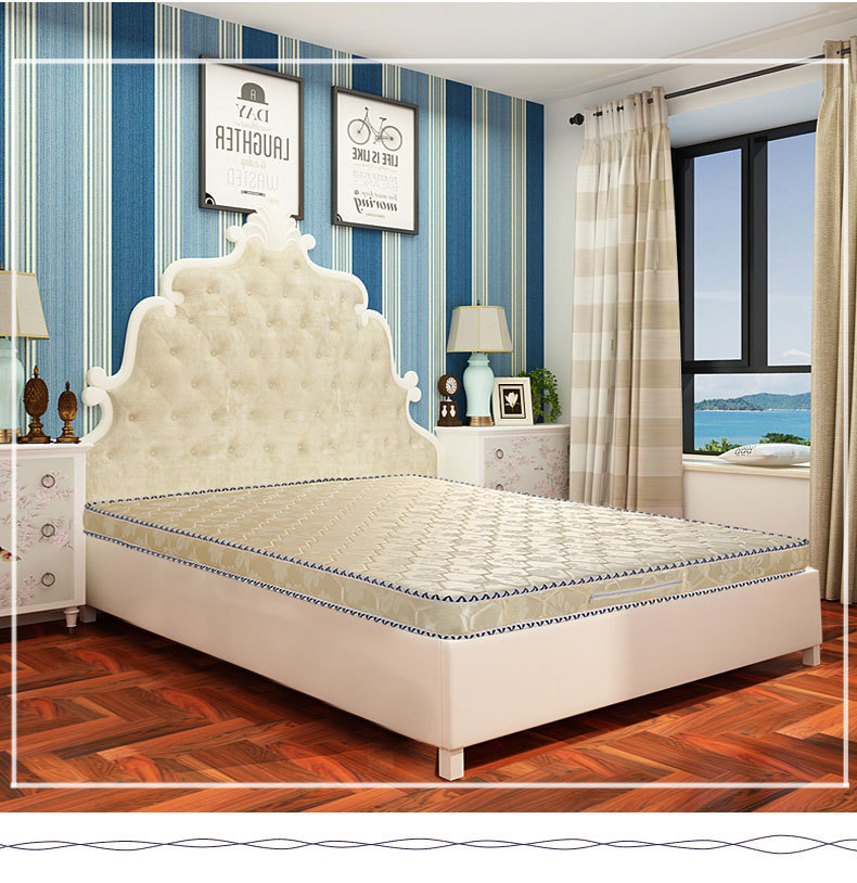 新款时尚床垫椰棕棕垫软硬适中席梦思单人床垫床上用品一件代发