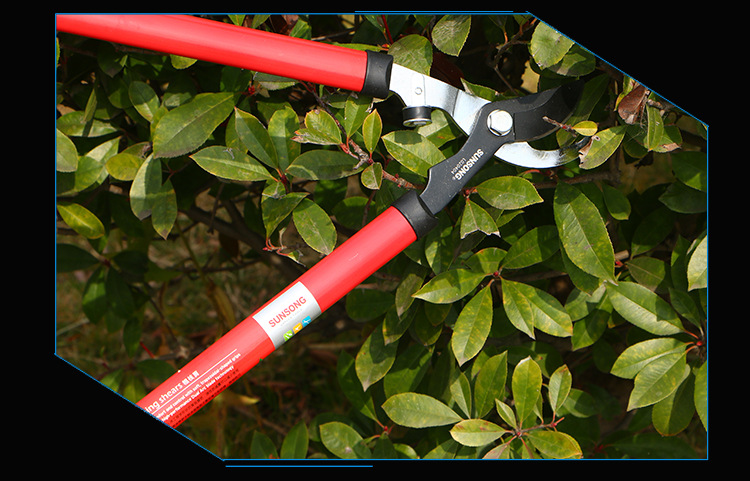 伸缩合金粗枝剪刀 省力修枝剪园林园艺绿化修剪 工具果树剪枝剪