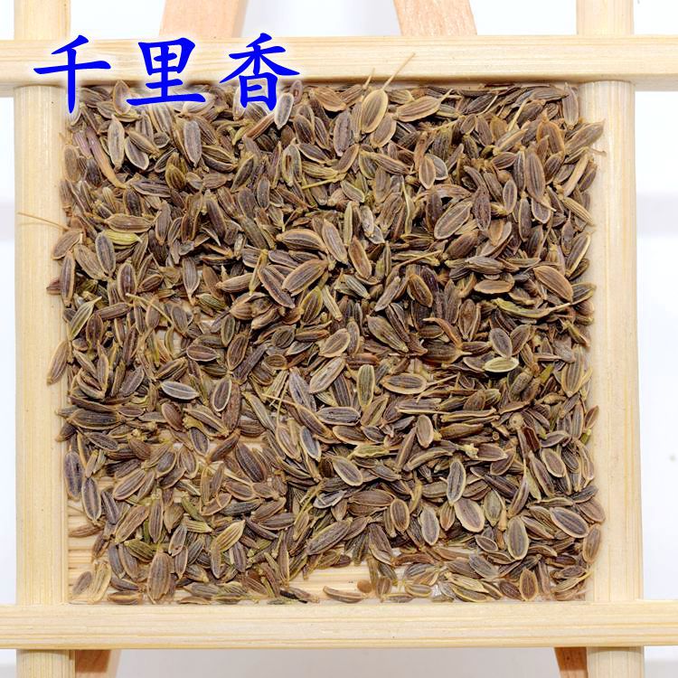 千里香七里香药材火锅香辛料调味品