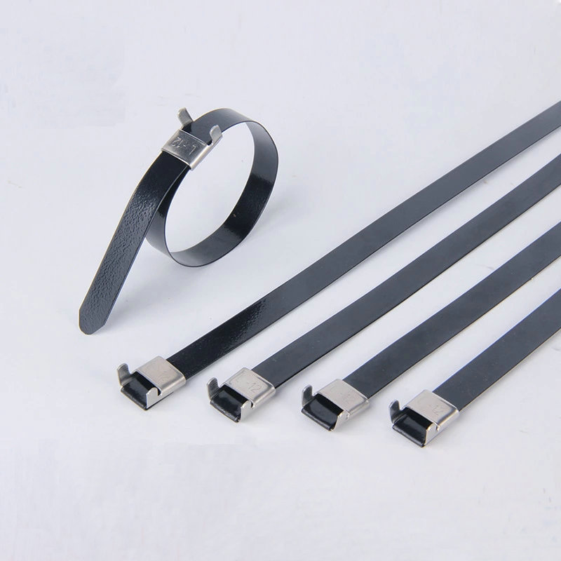 不锈钢扎带 喷塑不锈钢扎带l型锁紧式 12*200 任意长度可定制