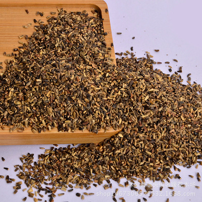 批发优质将军菊苣种子 菊苣牧草种子 菊苣包衣种子 质量发芽保证