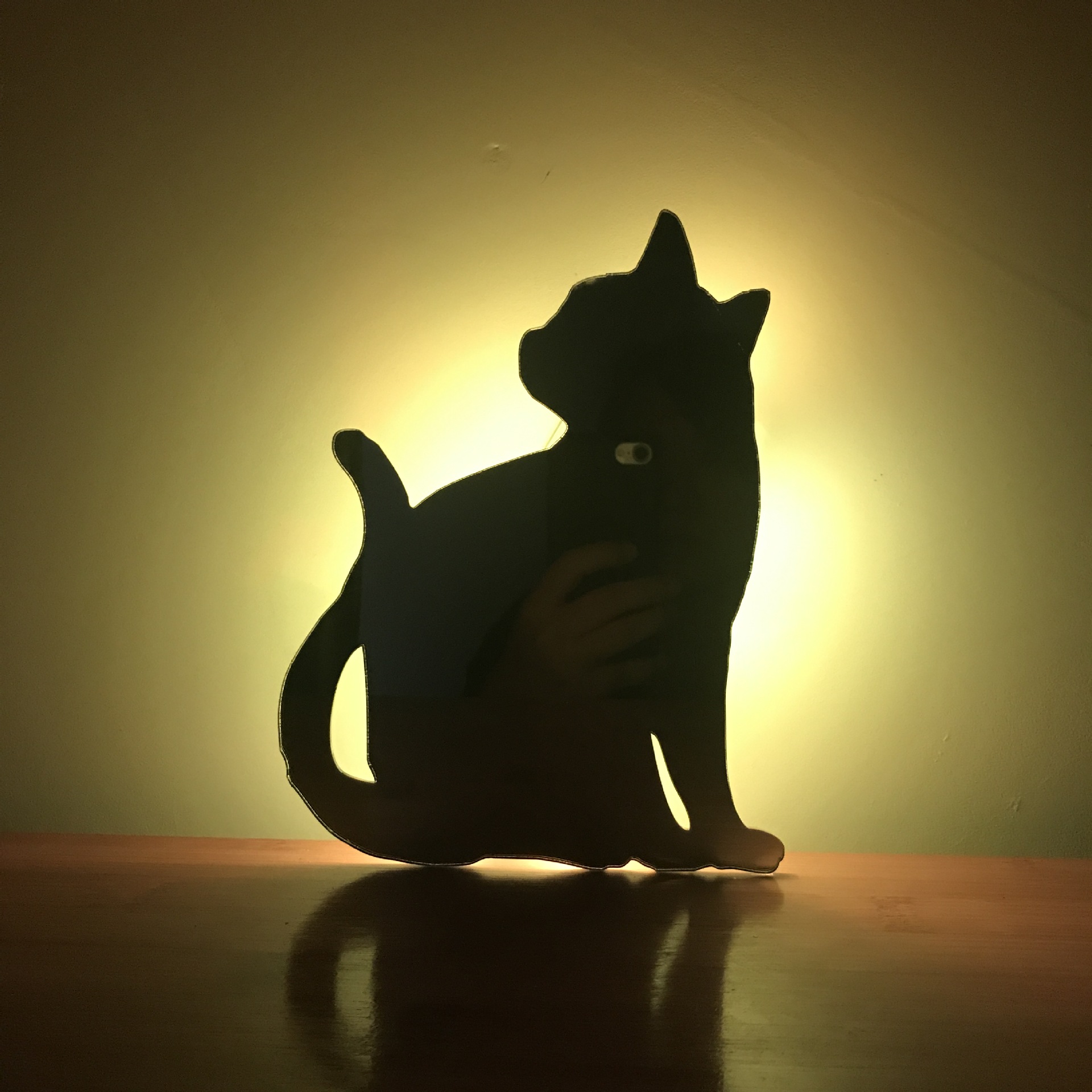 七彩遥控影子投影灯 led小夜灯镜子灯 投影灯带遥控 剪影灯创意灯