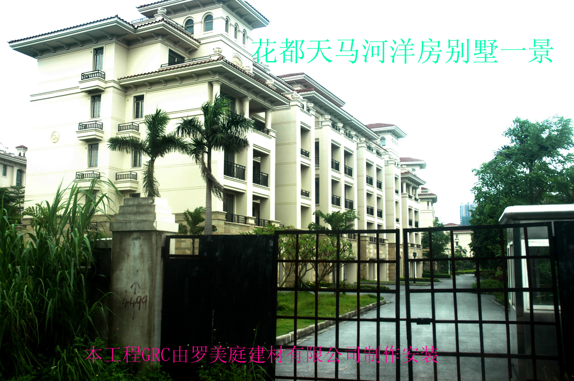 DSC_9663 拷贝.jpg