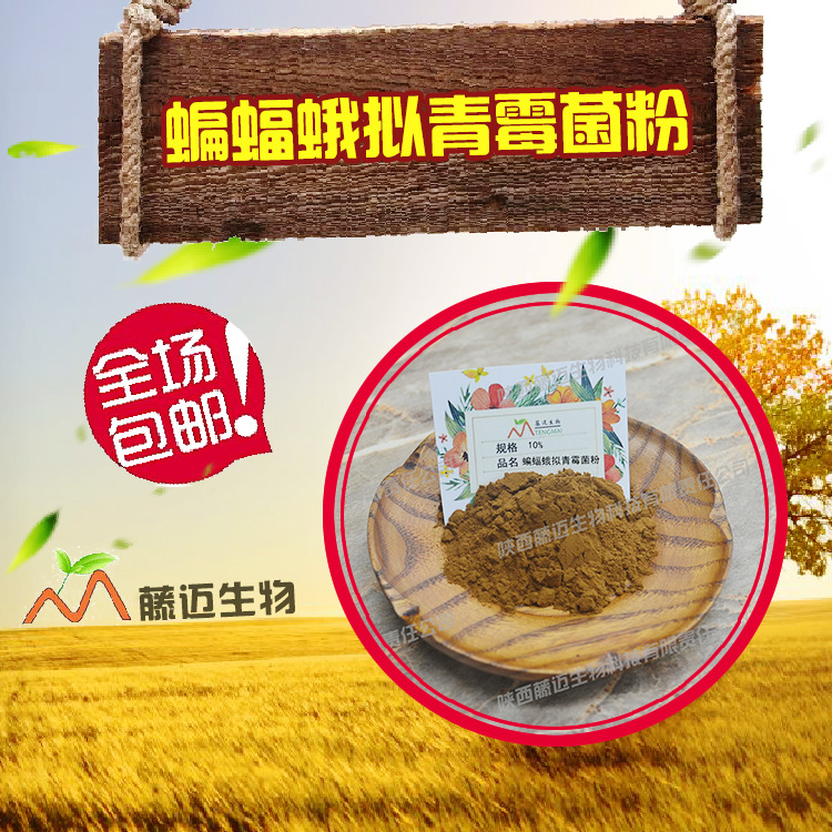 蝙蝠蛾拟青霉菌粉 发酵虫草菌丝体粉 cs-4 可零售 1kg起订 包邮
