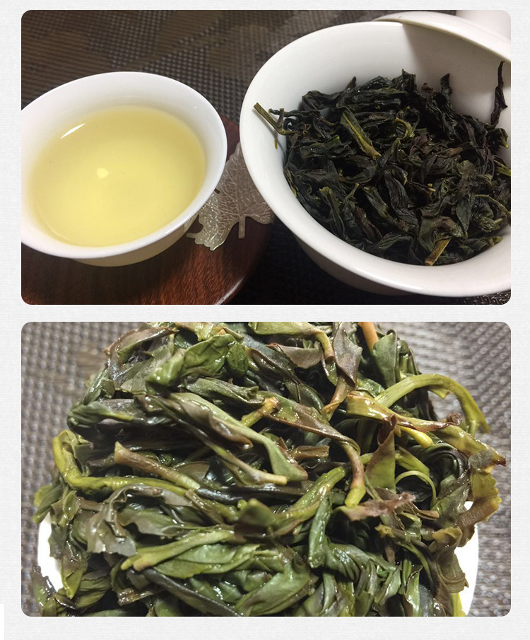 凤凰春鸭屎香 潮州高山正宗原生产绿色无公害农产品 厂家直销