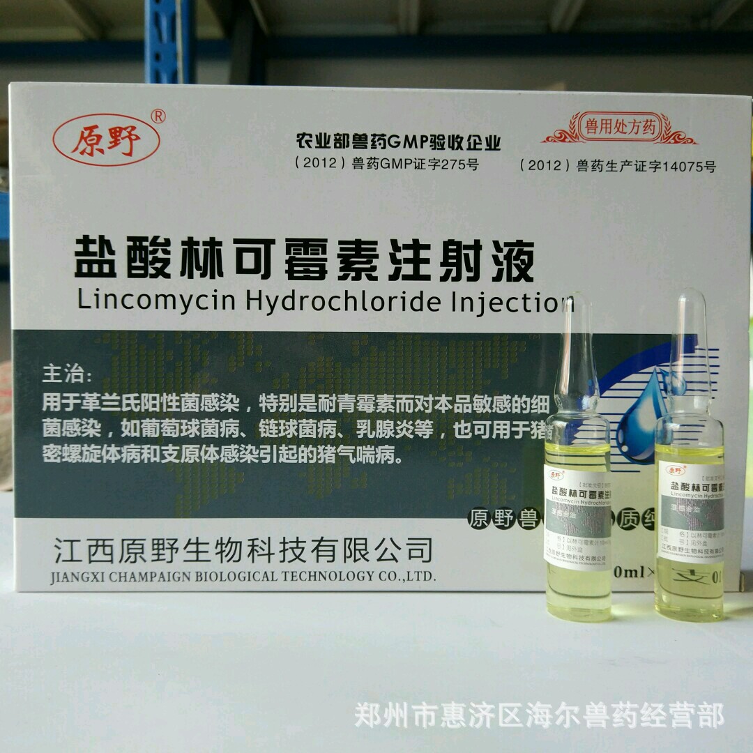 抗生素类 盐酸林可霉素注射液 兽药批发代理林可霉素