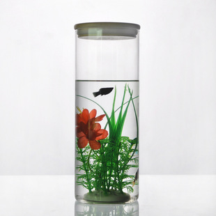 厂家批发耐热玻璃密封罐厨房收纳灌杂粮储存罐茶叶罐微景观生态瓶