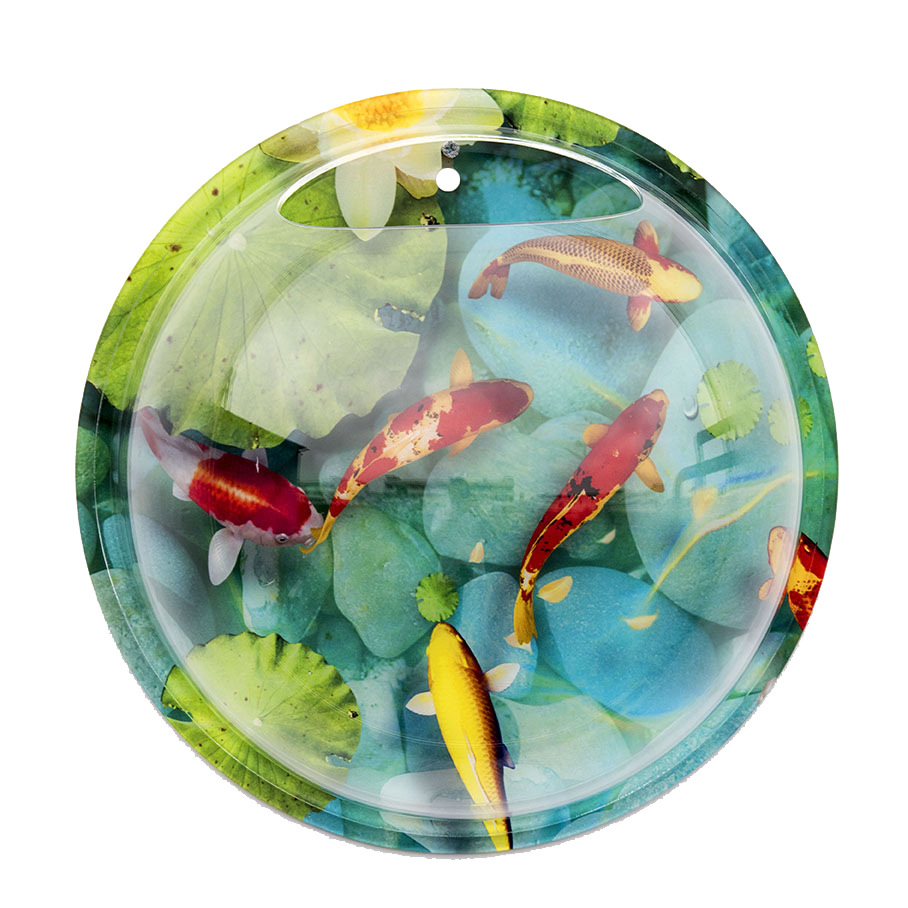 供应创意观赏亚克力小型鱼缸 彩色圆形壁挂式墙上生态水族箱