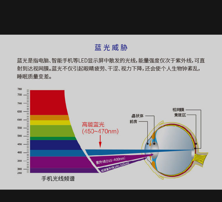 郑晓慧的个人主页-阿里巴巴1688.com