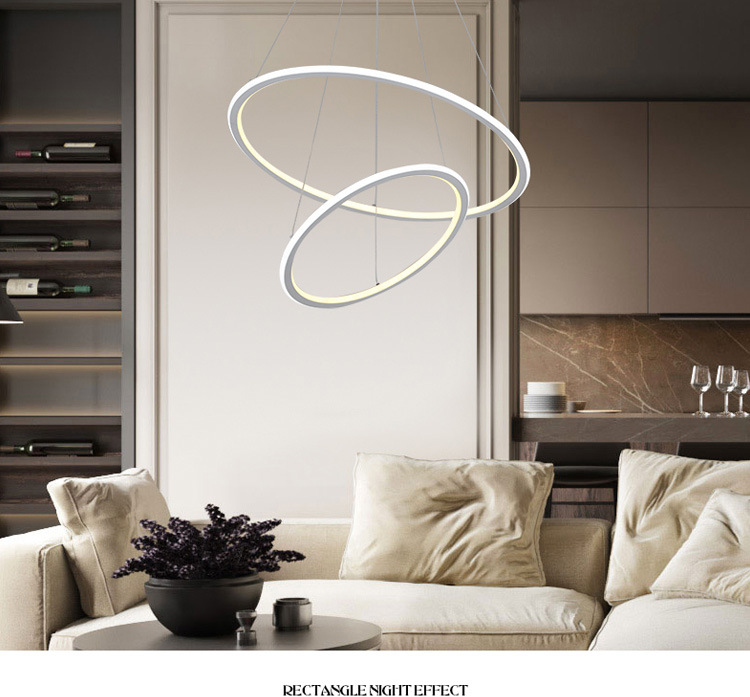 后现代北欧吊灯圆形线性(1) - 柒家软装——全品类软装配套