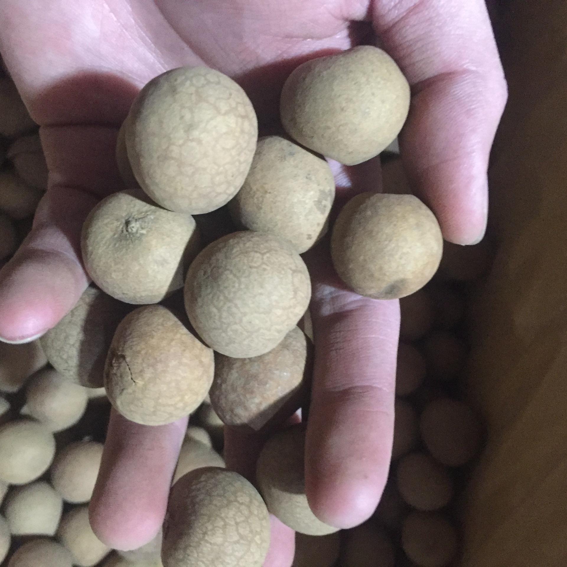 2017年新货4a莆田桂圆一箱20斤批发 直径2.4cm正a桂圆干肉厚核小