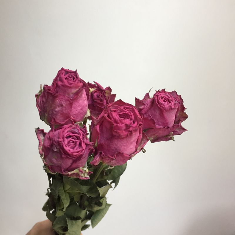 【玫瑰干花】 干花玫瑰 天然风干玫瑰 花盒定制包花材料