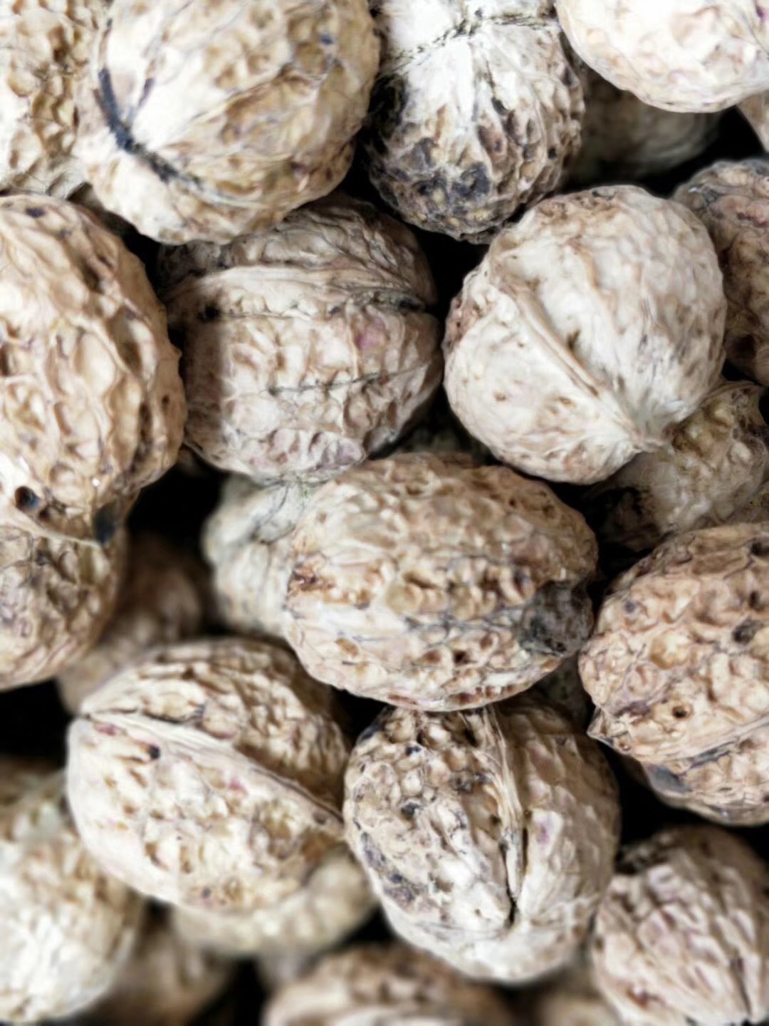 云南新鲜核桃薄皮核桃 2017年纸皮生核桃孕妇 大姚薄壳农家散装