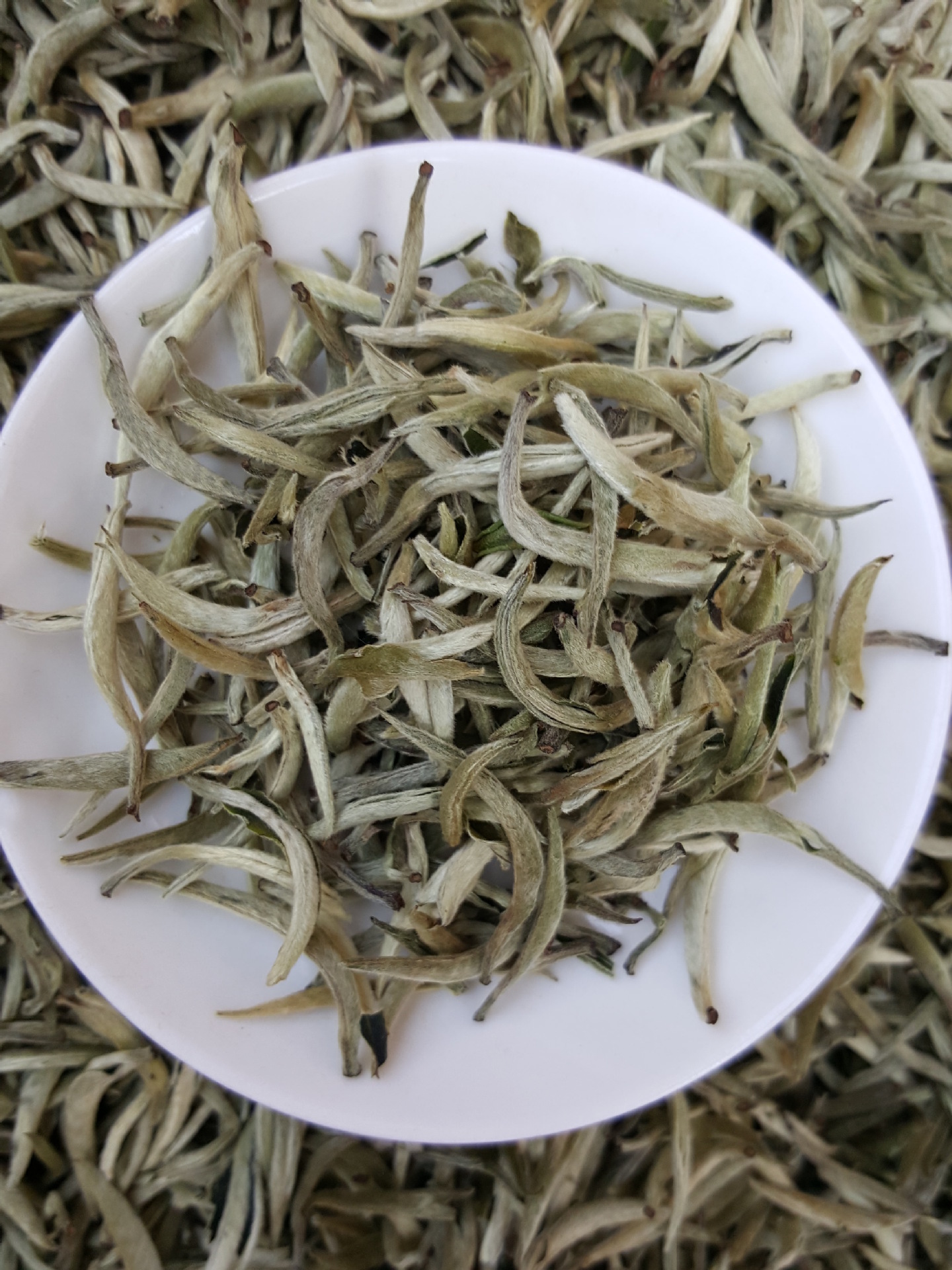 2017年早春茶明前春古树茶云南生普洱茶叶大白毫银毫单芽毛尖