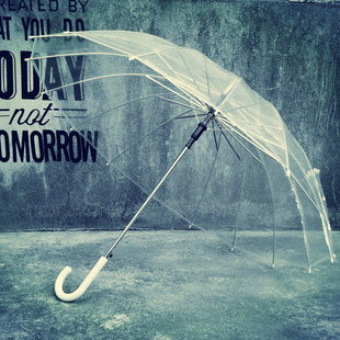 透明的雨伞