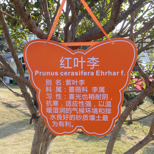 树牌图片_树牌图片大全 - 阿里巴巴海量精选高清图片