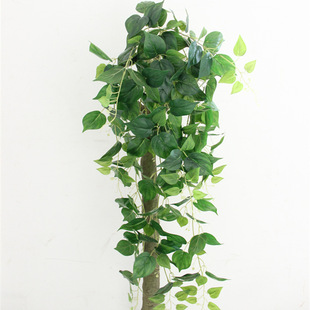 仿真绿萝爬藤花卉垂吊绿植藤条管道装饰长藤植物壁挂过胶藤蔓植物