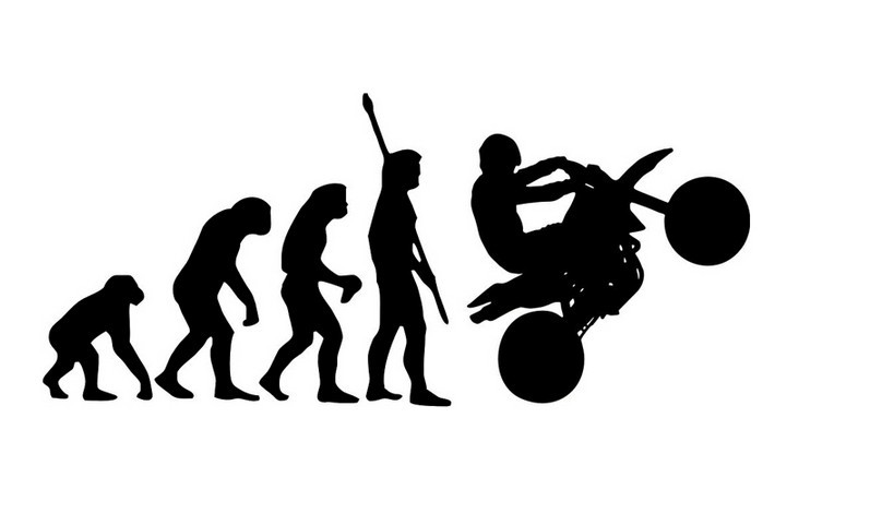 外贸热卖人类起源贴纸人类进化论车贴墙纸贴