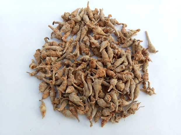 云南特产文山无数头小三七磨粉田七粉初级农产品 超微粉批发