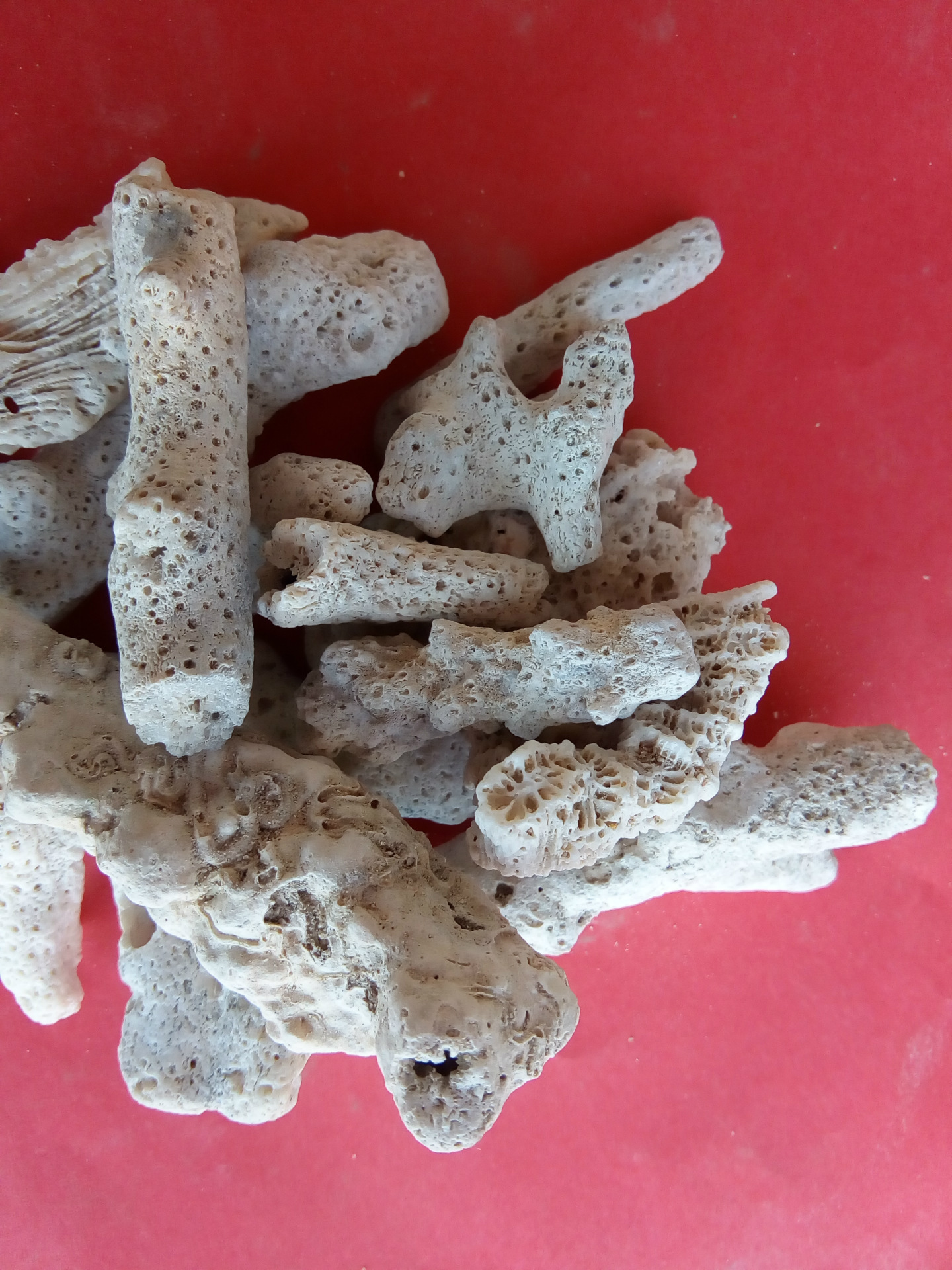 珊瑚砂 珊瑚沙珊瑚石过滤材料珊瑚骨稳定水质ph底沙 珊瑚骨