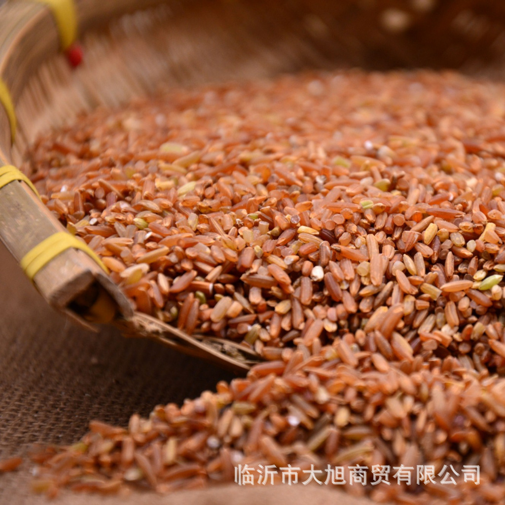 红米批发杂粮红粳米红色大米红糙米一件500g五斤包邮