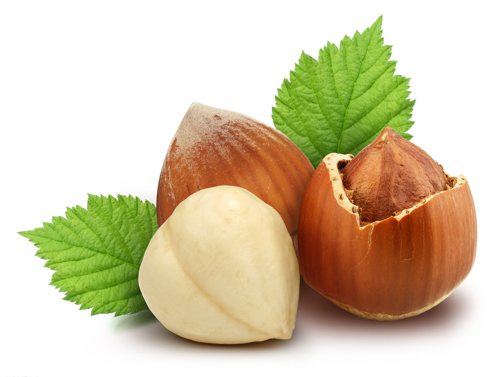 榛子提取物101榛子仁提取粉山板栗粉斯诺特厂家