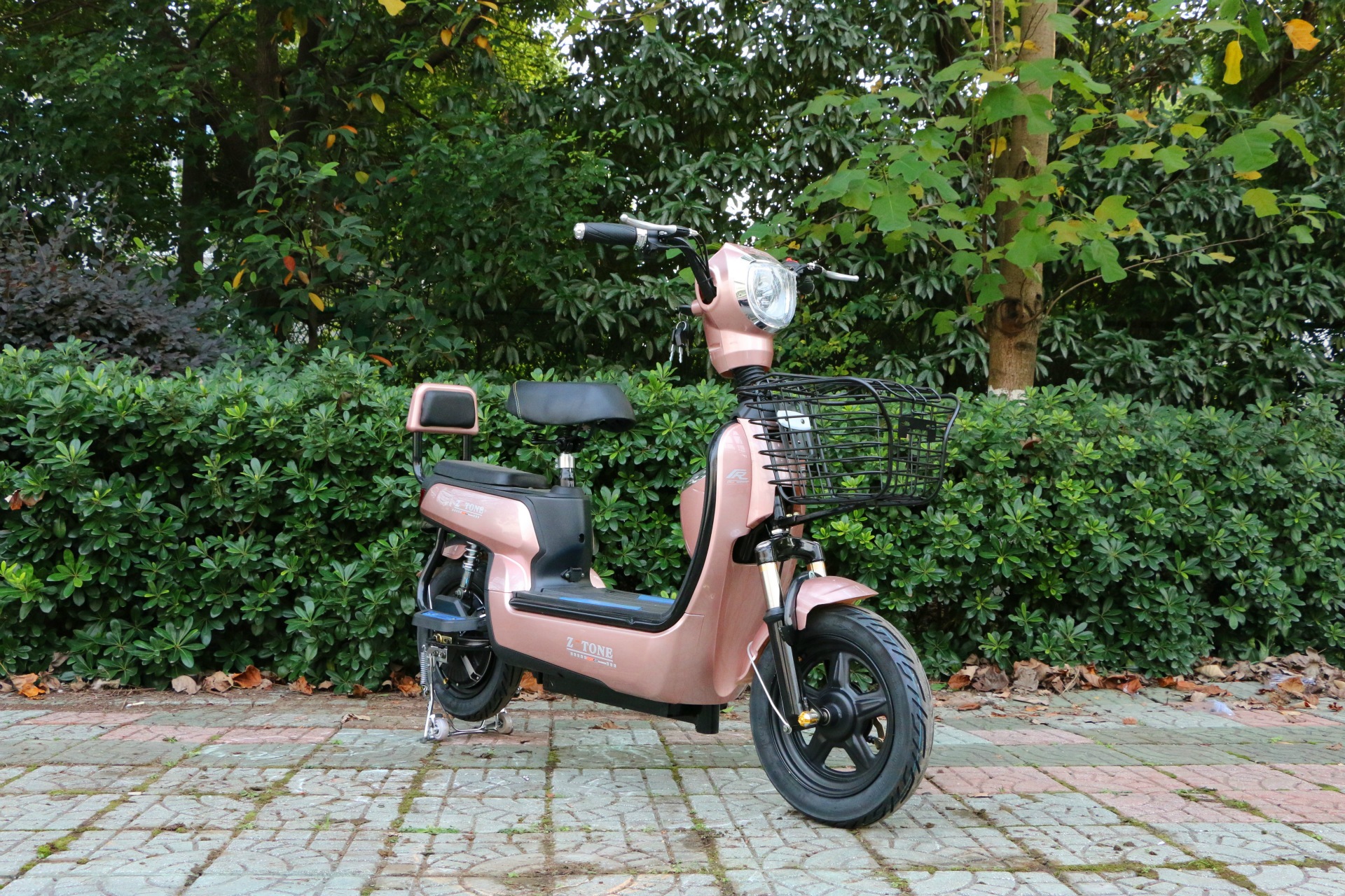 朗动电动车电瓶车新款电动自行车迷你小型成人学生电动车48v