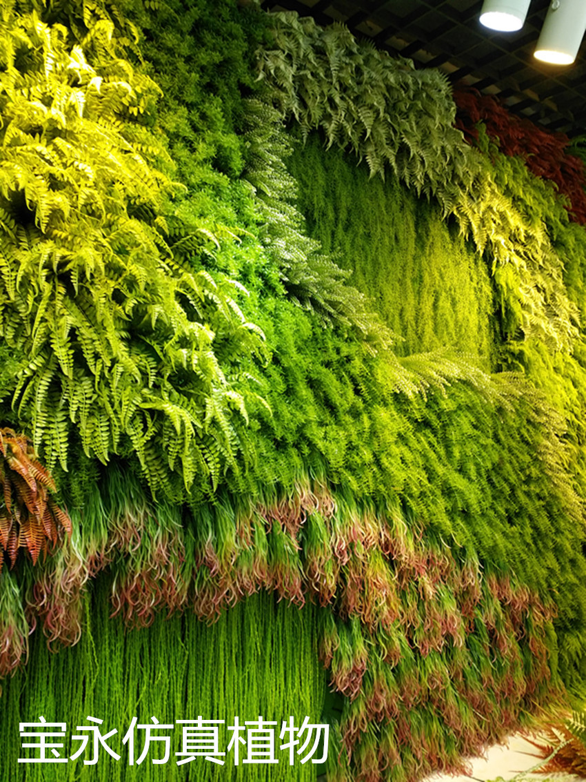 emulation plant wall green plant garden plant garden herb garden