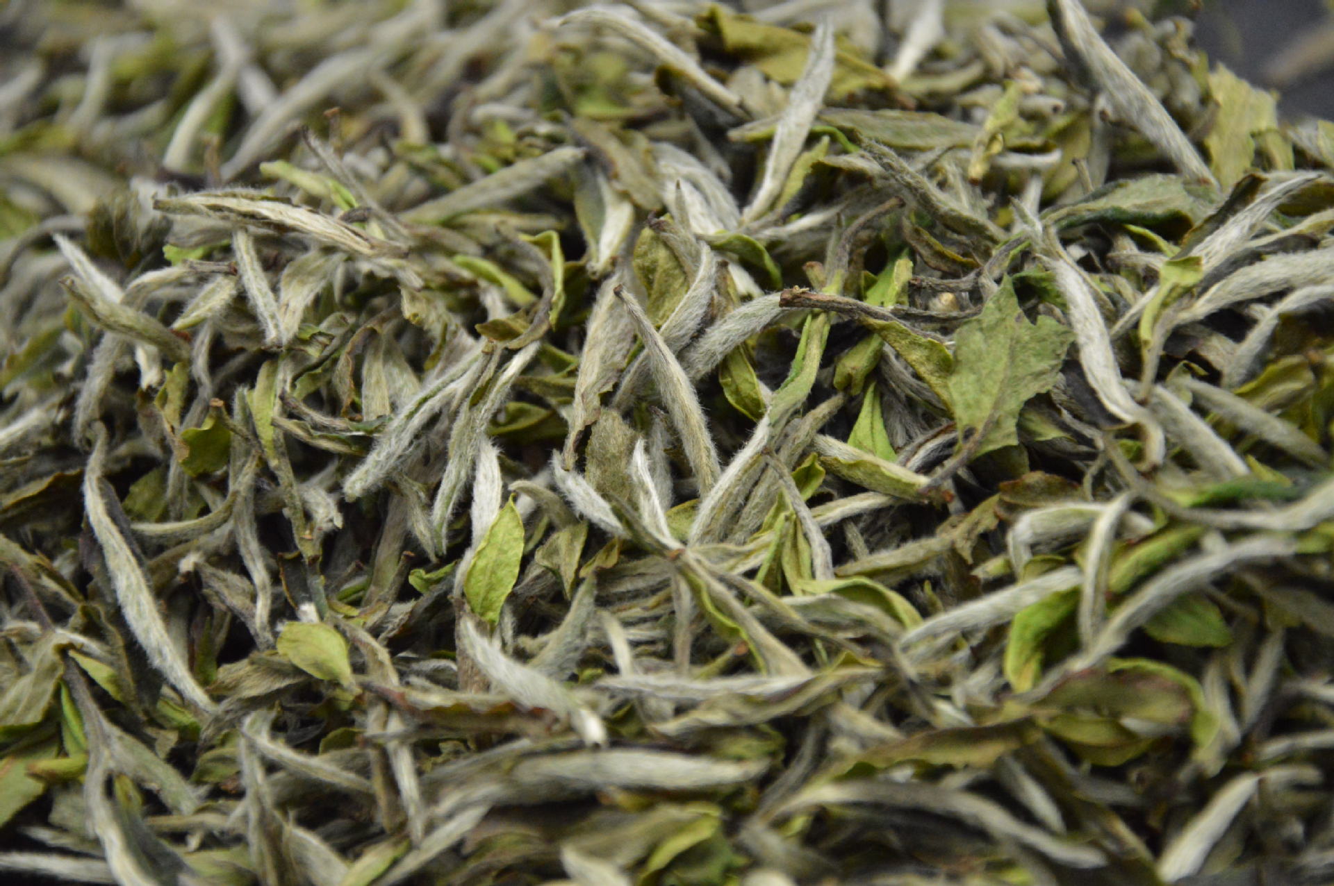 新品供应 农副加工 茶叶 白茶