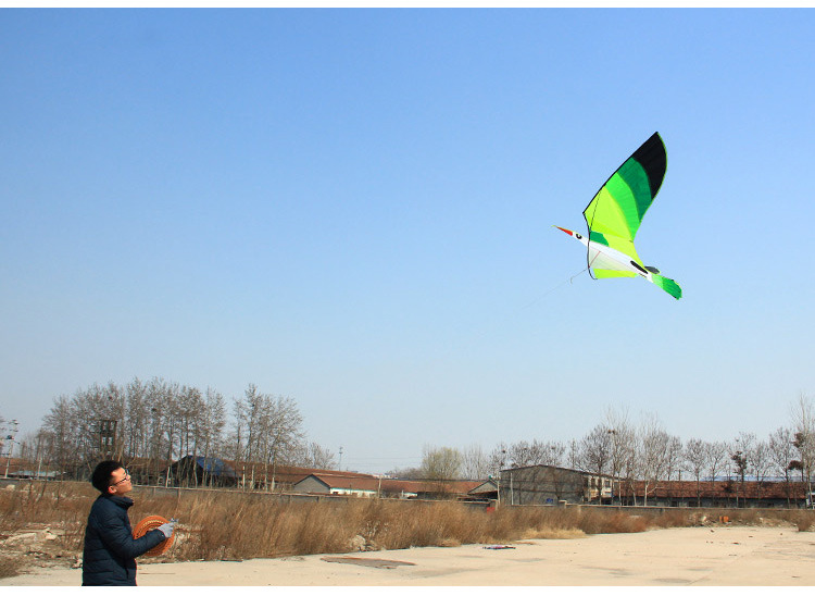 草原鹰风筝 潍坊风筝 鹰风筝 三角风筝