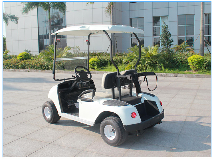 新能源电动汽车二人座 高尔夫球电动车 新能源电动汽车厂家