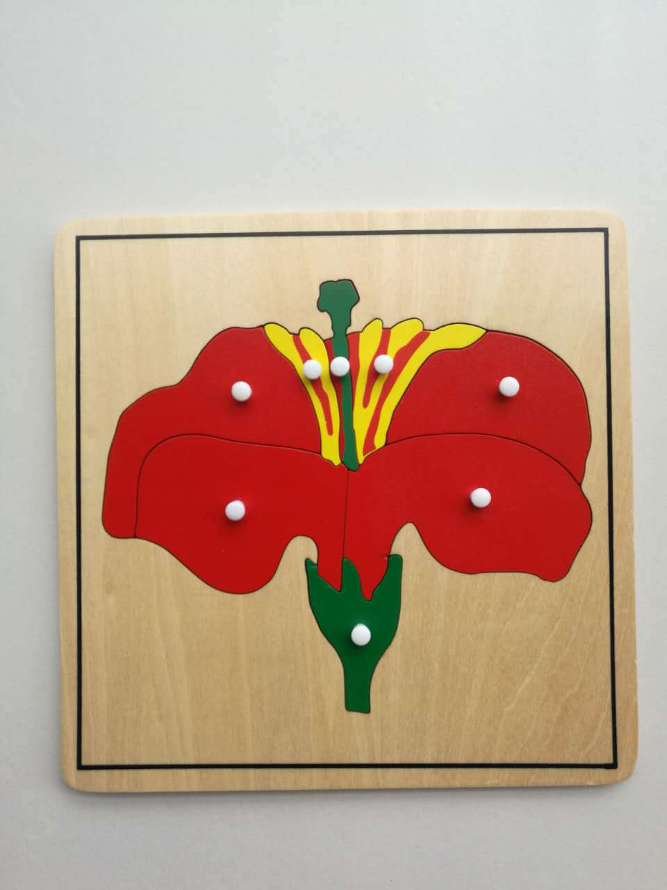 蒙氏教具国际版早教玩具蒙台梭利教具蒙特梭利教具动植物嵌板拼版