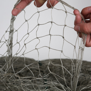 爬藤养殖网塑料养鸡网防鸟网防护栏网渔网小鸡围网养鸭拉网定做