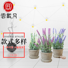 亚马逊爆款仿真植物盆景仿真小盆栽办公室装饰植物假花盆景盆栽