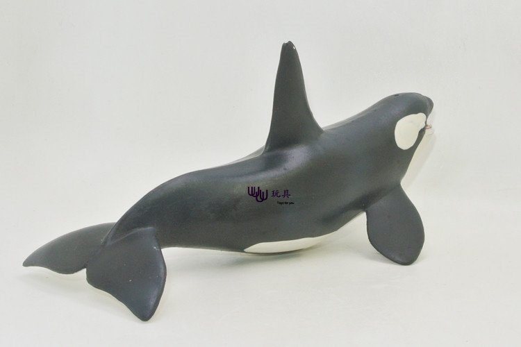 海洋生物新虎鲸 仿真海洋动物模型套装 海底总动员 海底生物塑胶