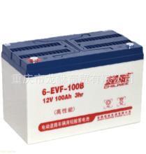 天能6-EVF-100蓄电池 电瓶清扫车 电动洗地机电池 天能6-EVF-100