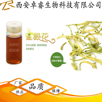 金银花提取液 大量现货 金银花原液 天然植物提取液 包邮