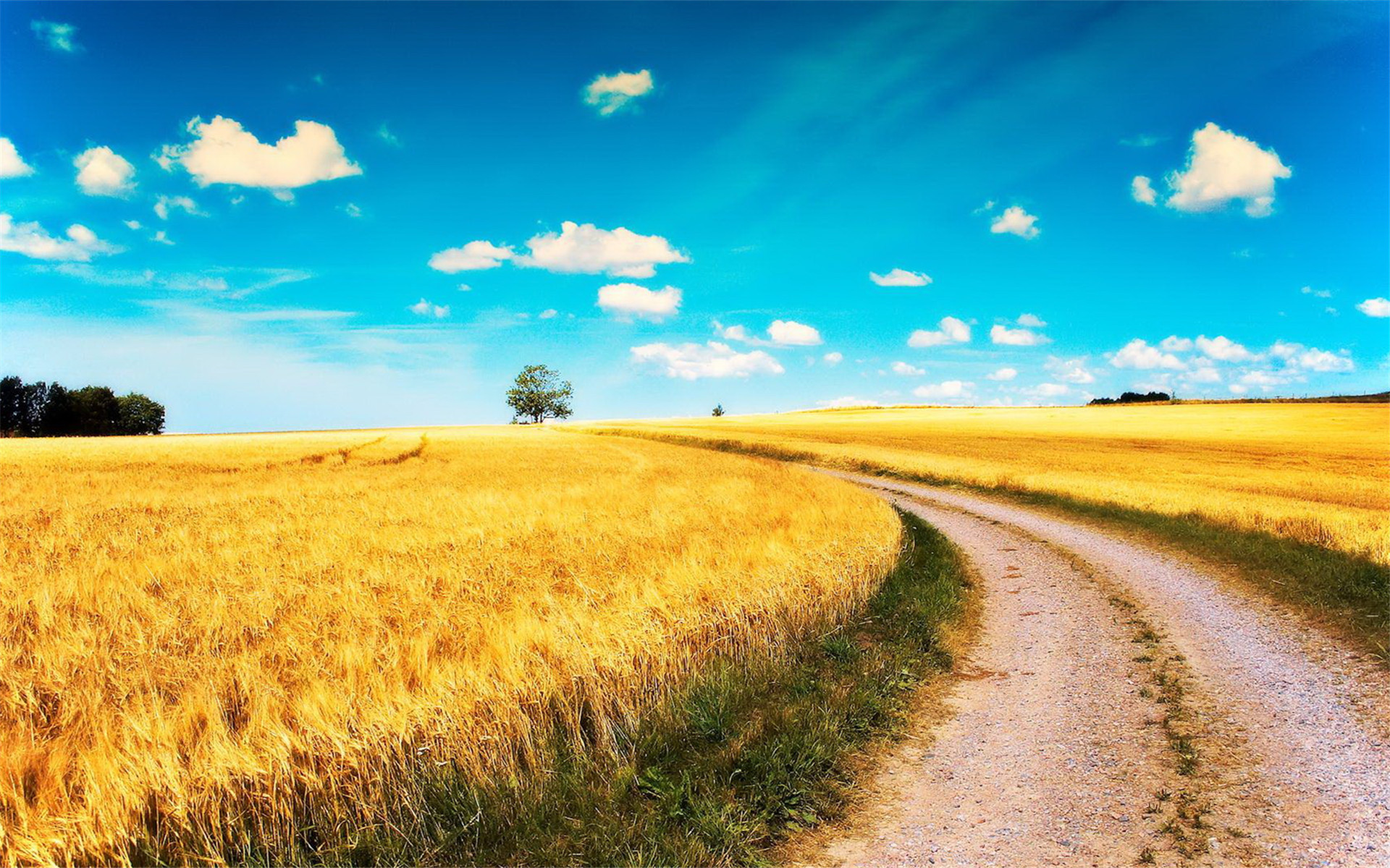 一条大路呦通呀通我家