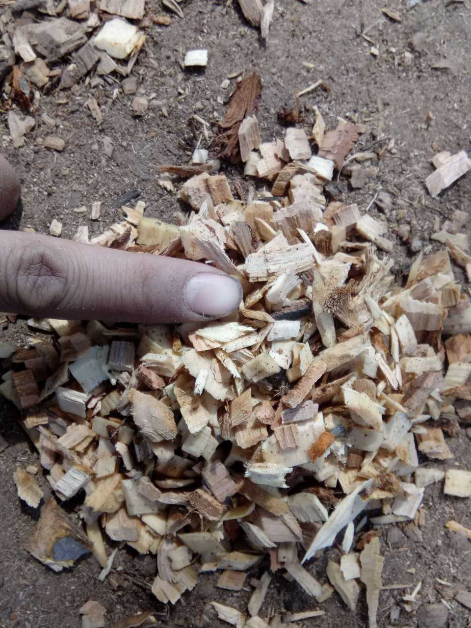 苹果木烟熏木屑,果木熏肠专用锯末, 种植木屑, 栽培用纯果木