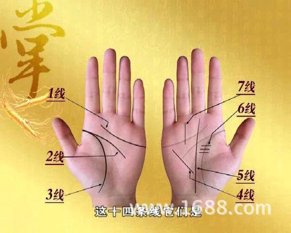 大**的个人主页-阿里巴巴1688.com