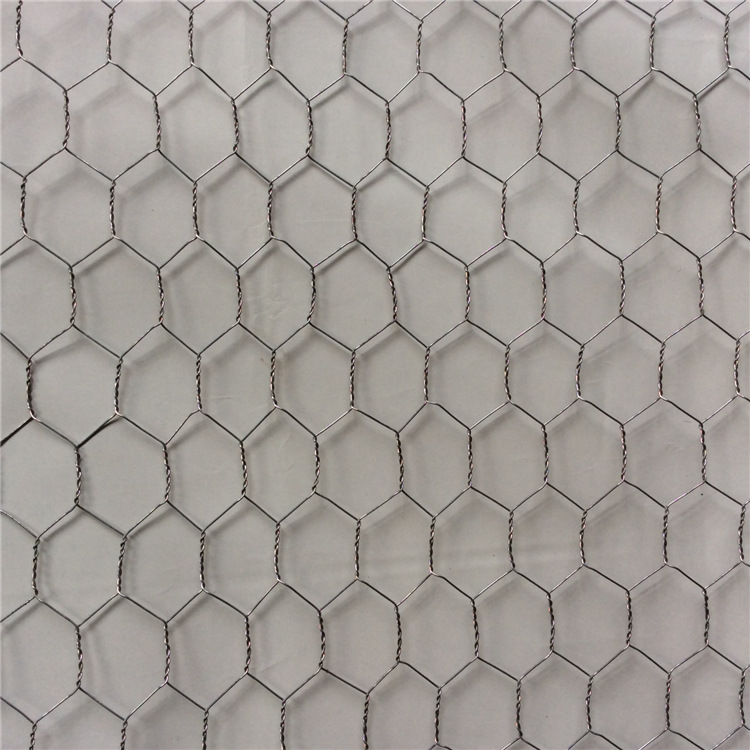 六角网  厂家 图片   镀锌铁丝 拧花网   鸡鸭防护铁网 摸墙网