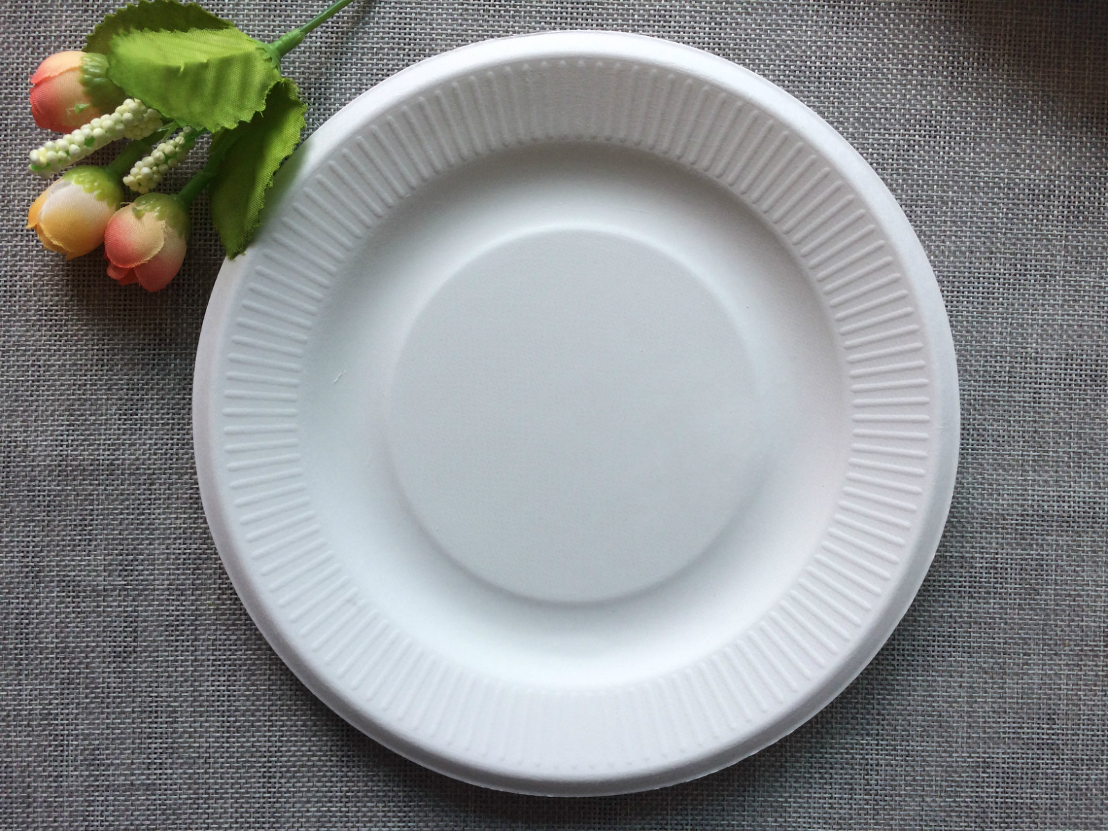 厂家直销一次性甘蔗浆纸盘纸碟 儿童手工diy纸盘 美术画画纸浆盘