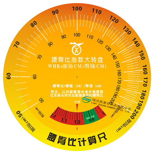 男性腰臀比对照表图片