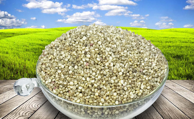 正品杂粮青海黎麦500g高原产地直销黎麦米批发 量大从优一件代发