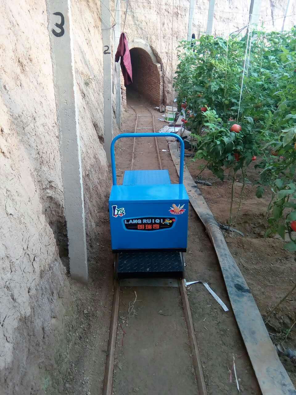 电动平板车 运输车 四轮搬运车 大棚果园拉货车厂家可定做